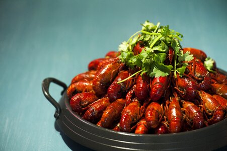 Crayfish crayfish 1 the crayfish 2