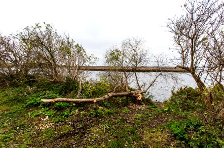 IMG_5136