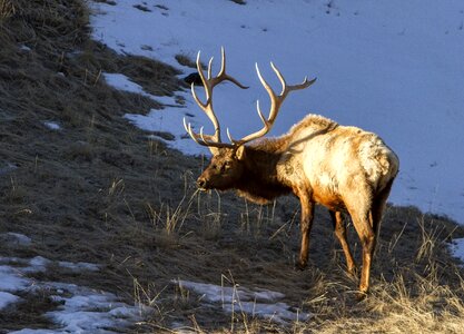 Nature male outdoors photo