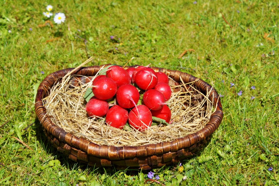 Food healthy vitamins