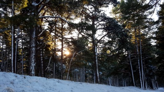 2016.gada 28.novembrī, Liepājā.