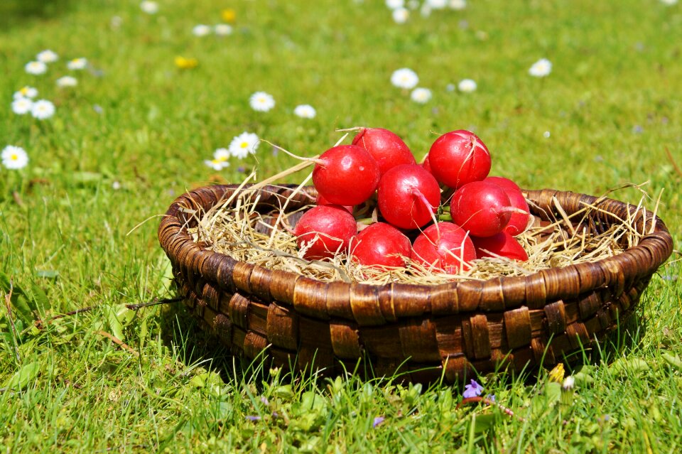Food healthy vitamins