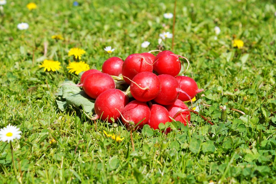 Food healthy vitamins
