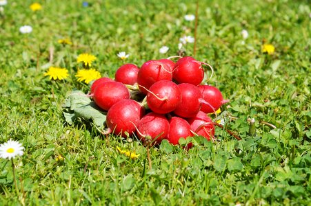 Food healthy vitamins