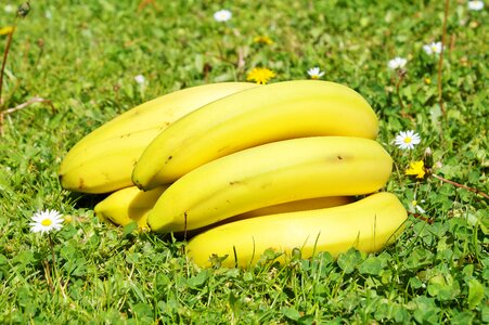 Food yellow healthy