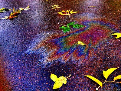 Fall colors gasoline spot