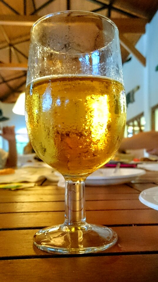 Beer drink drinking