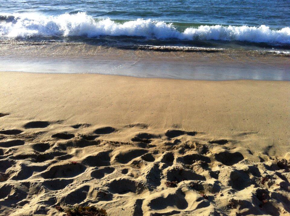 Waves sunny summer
