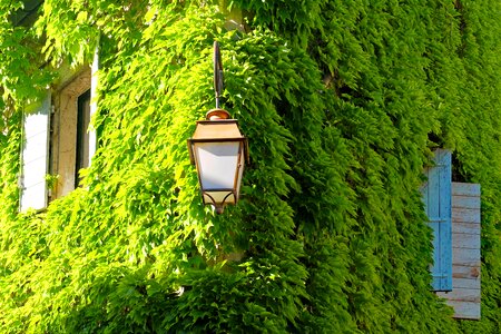 Façade green building
