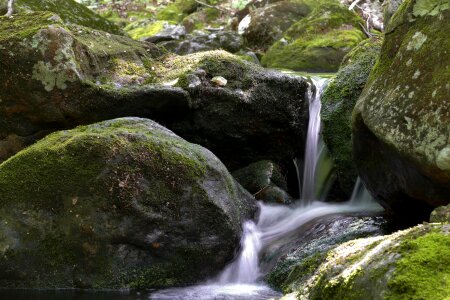 Nature water flowing