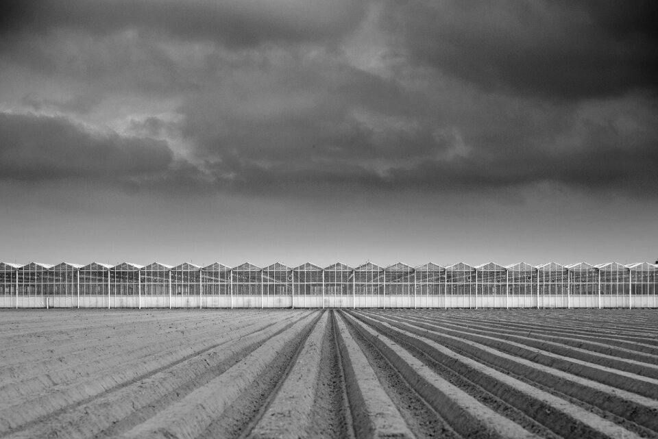 Dark sky agriculture