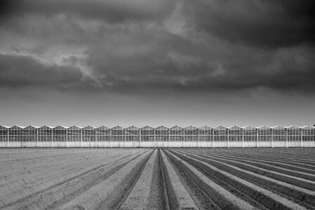 Dark sky agriculture photo