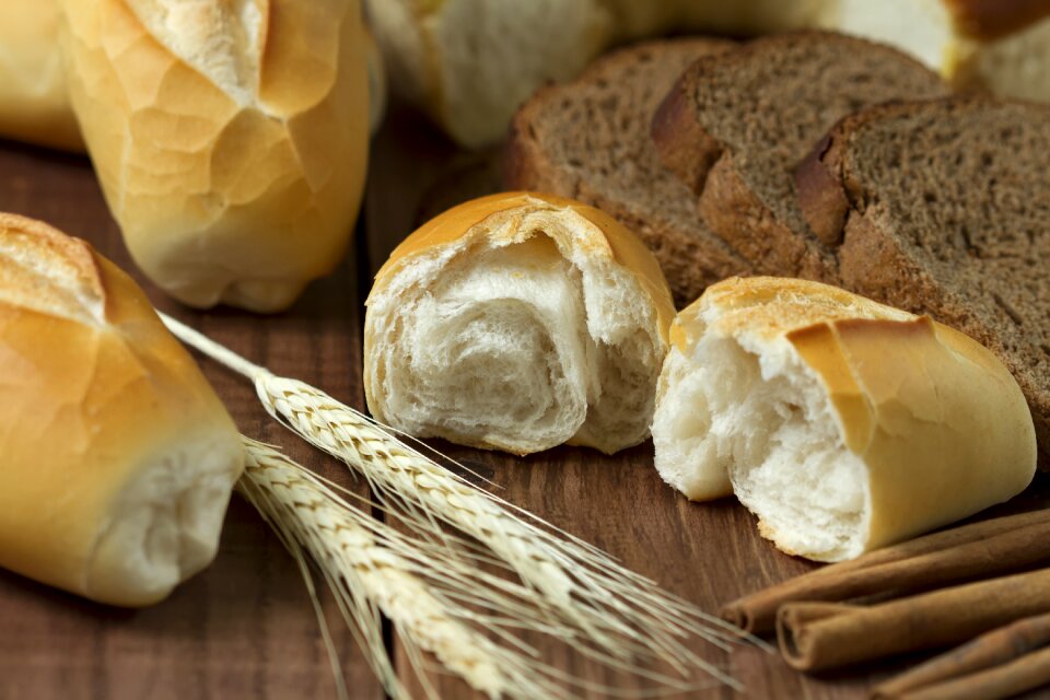 Homemade the bakery gourmet