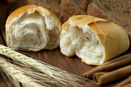 Homemade the bakery gourmet