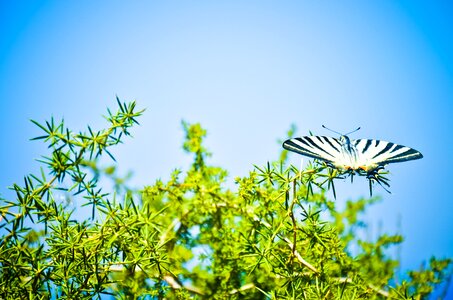 Sky the beauty of nature blue sky