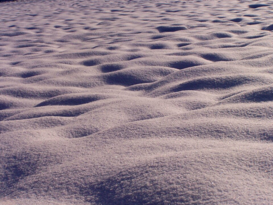 Snow white winter