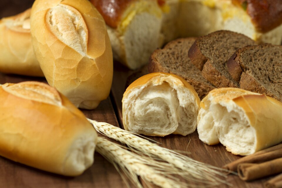 Homemade the bakery gourmet