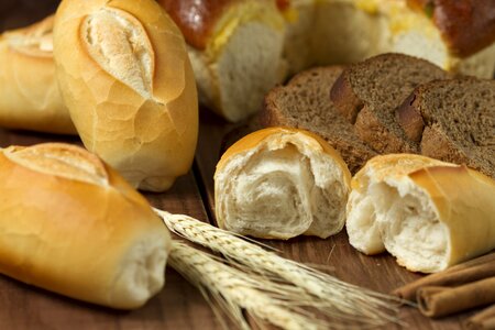 Homemade the bakery gourmet