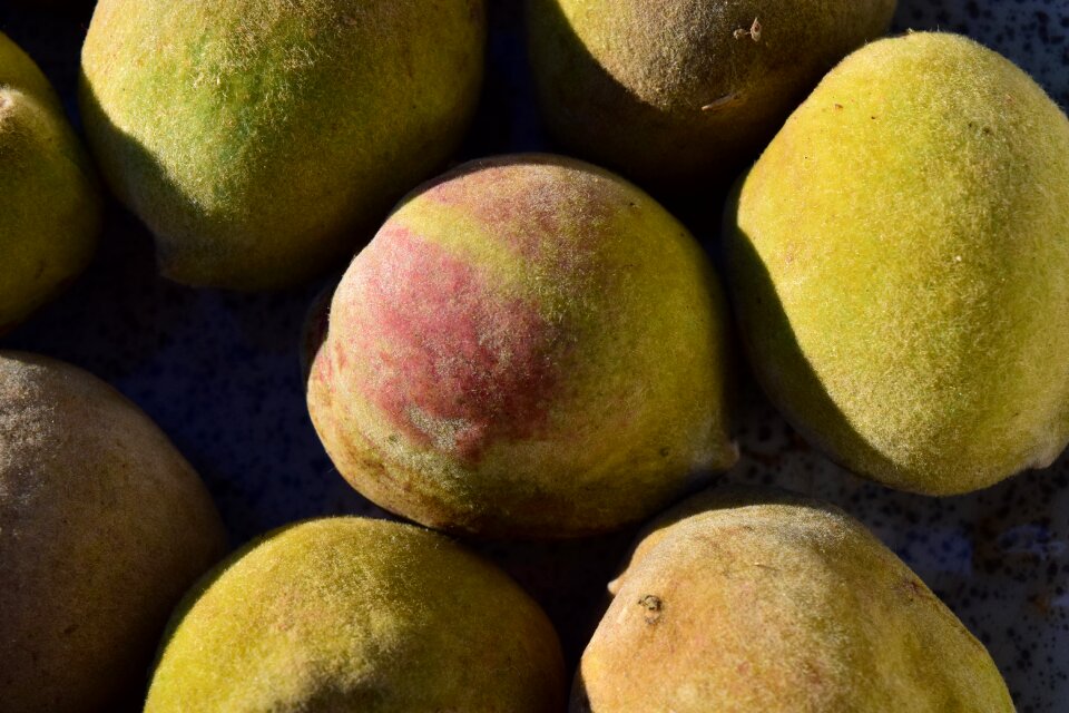 Food natural product fresh