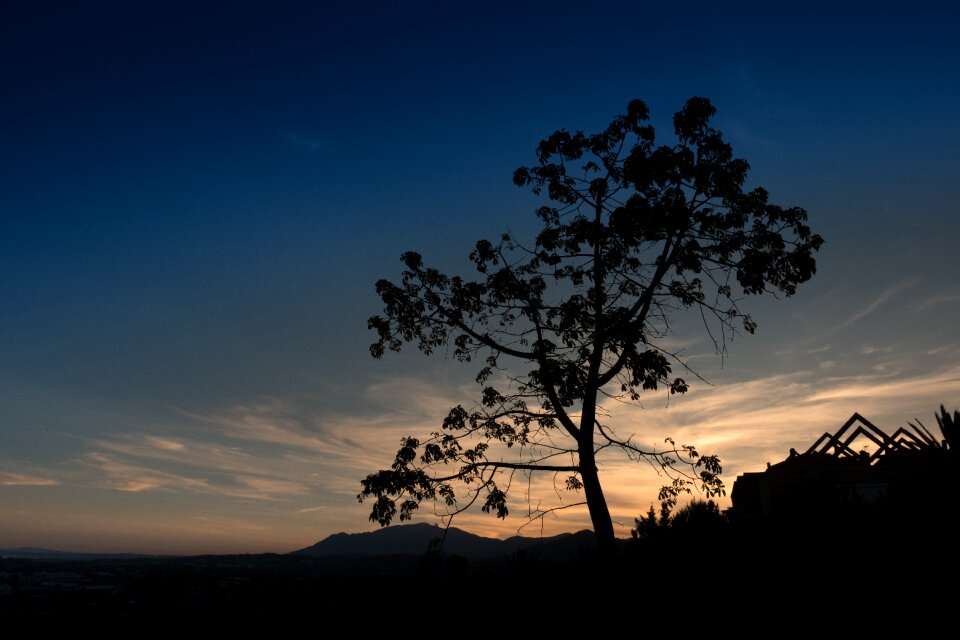 Trasluz horizon sky