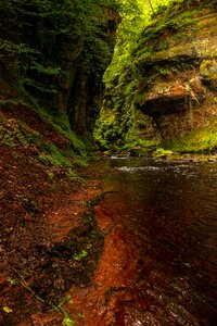 The red river green nature