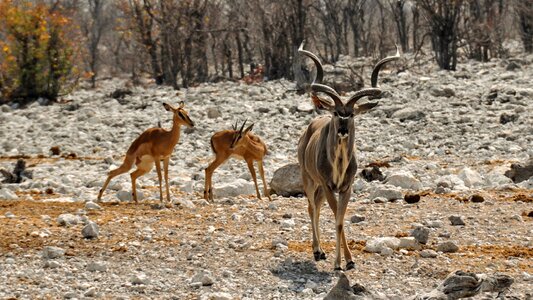 Nature dry national park
