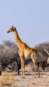 Nature dry national park