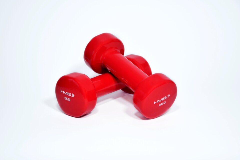 Gym the muscles slimming