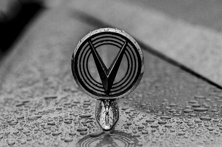 Badge black white