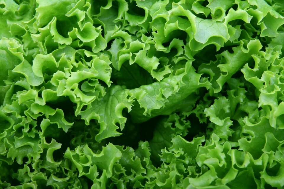 Green healthy natural
