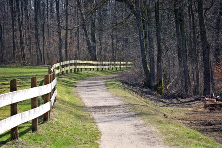 Meadow pasture fence photo