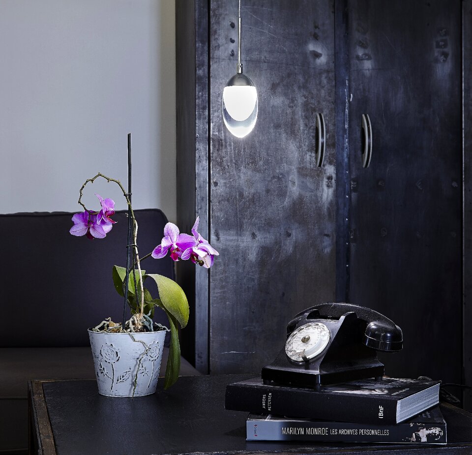 Orhid still live interior