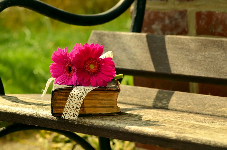 Flower blossom bloom