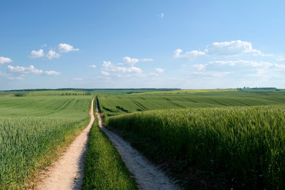 Agriculture the way nature