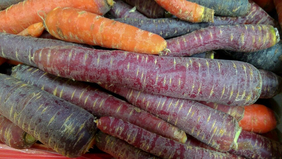 Vegetables vegetable garden purple carrot
