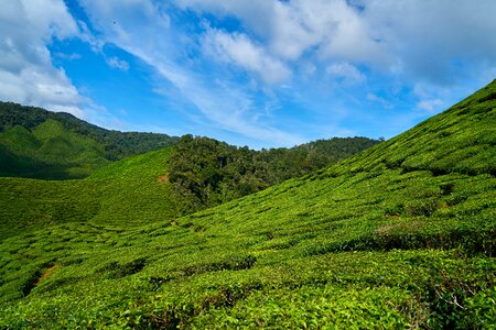 Landscape nature peace