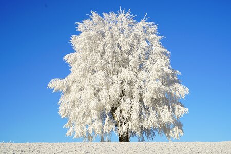 Iced crystal formation snowy photo