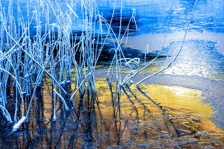 Winter frozen nature