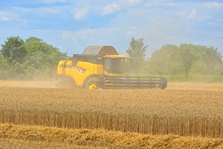 Cereals arable food