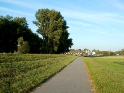 20110915Rheinauenwald_Rheinhausen2