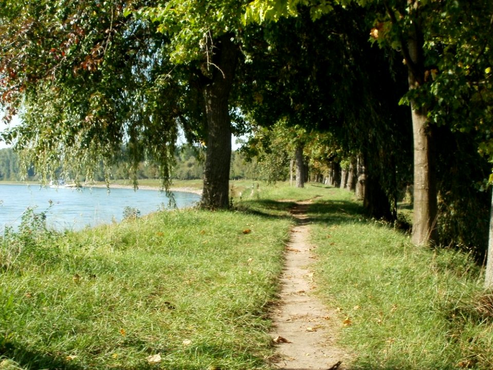 20110915Altlussheim34