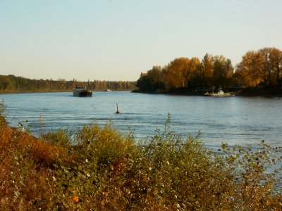 20111026Rhein_Bruehl5