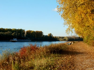 20111026Rhein_Bruehl7