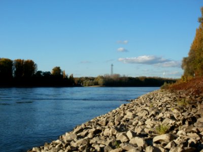 20111026Rhein_Bruehl1
