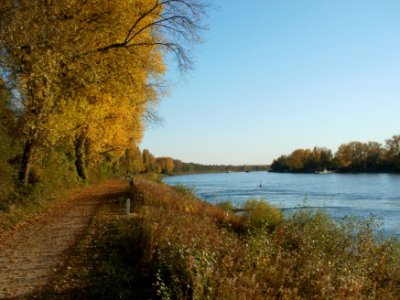 20111026Rhein_Bruehl4