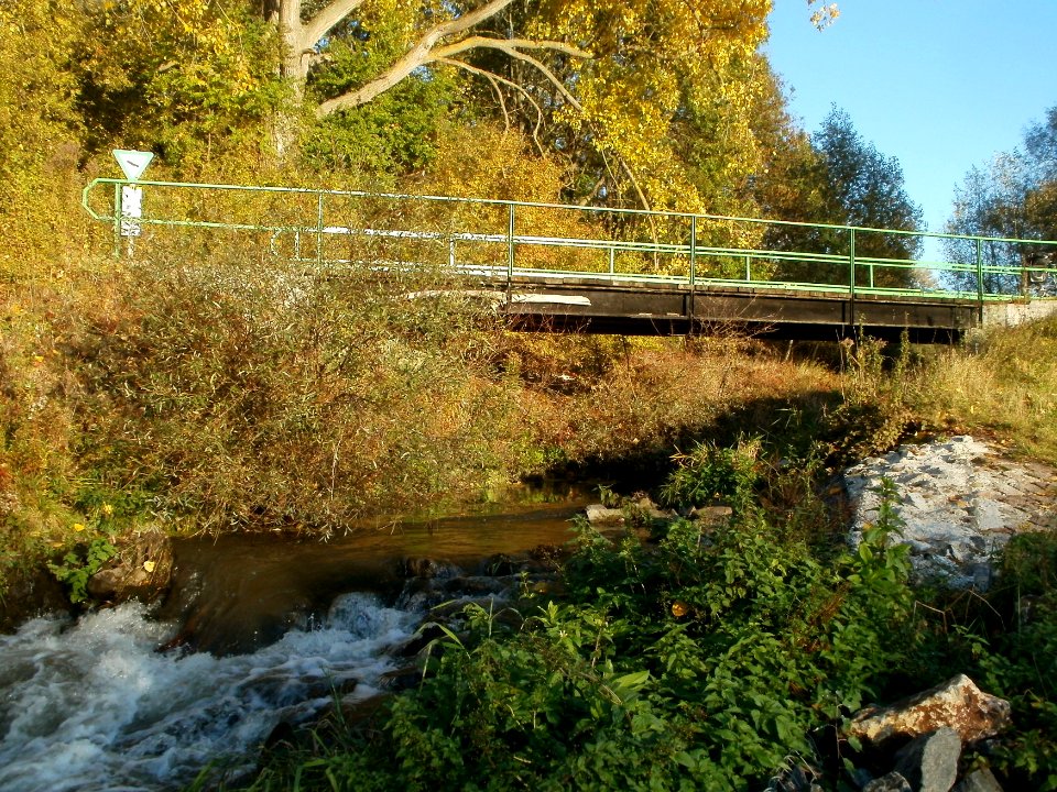 20111026Leimbachmuendung5