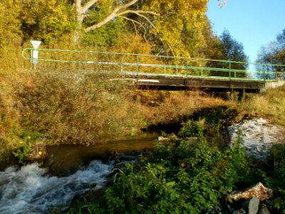 20111026Leimbachmuendung5