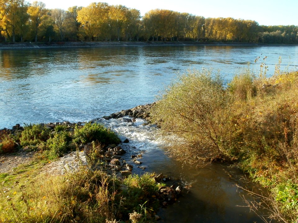 20111026Leimbachmuendung1
