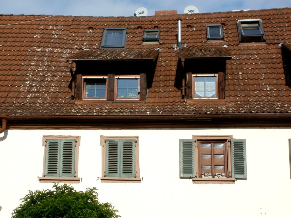 20110923Kronenstr4_Schwetzingen2