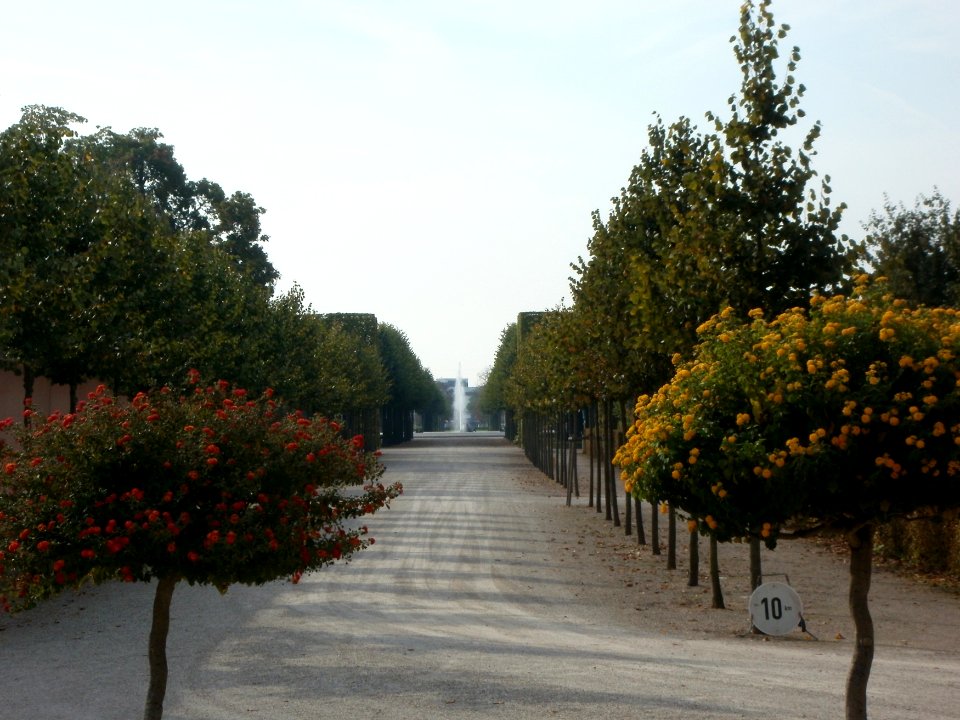 20110925_Querallee_Schwetzingen